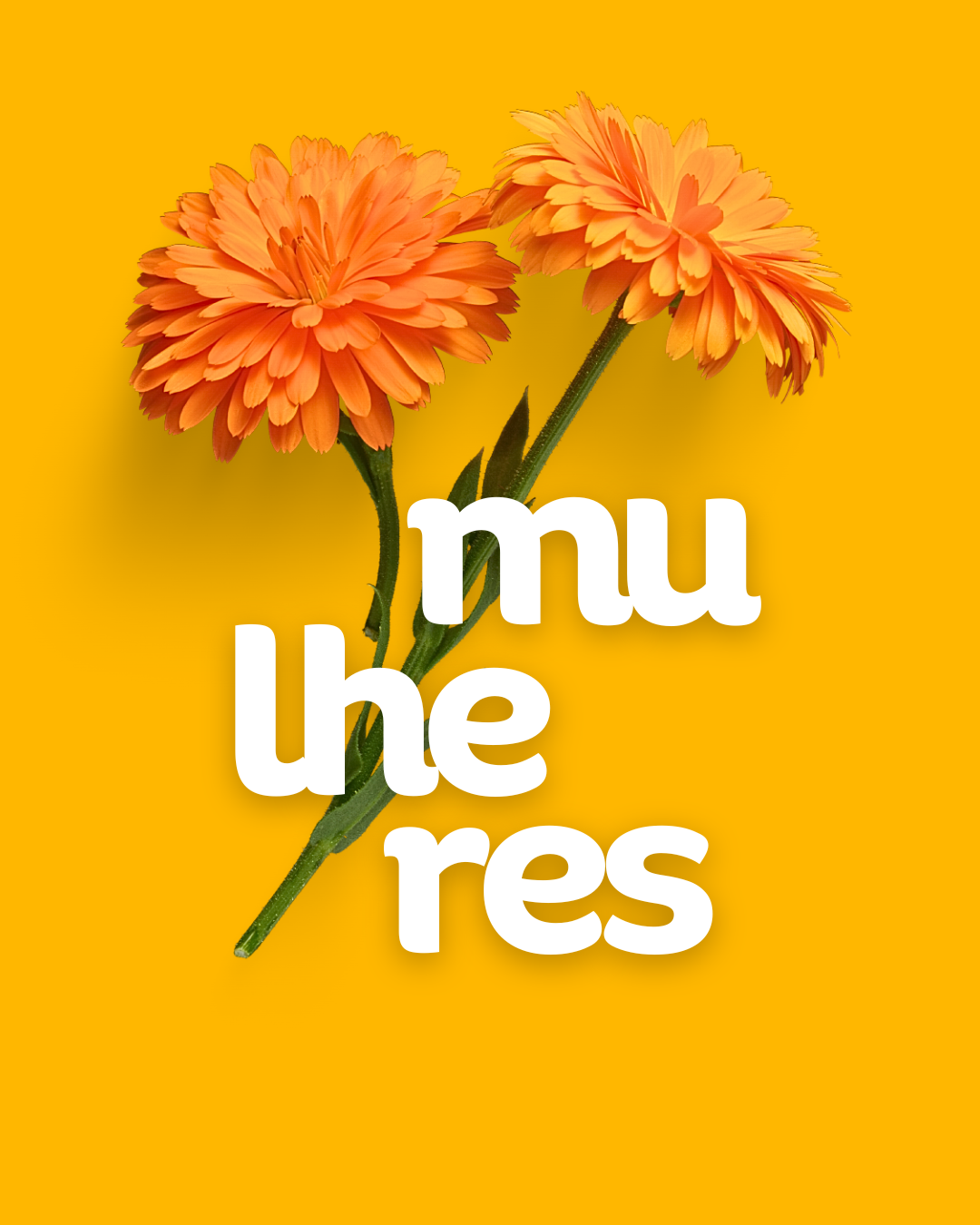 Mês da mulher no Orion